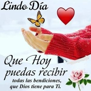 Meet your Posher, Isabel